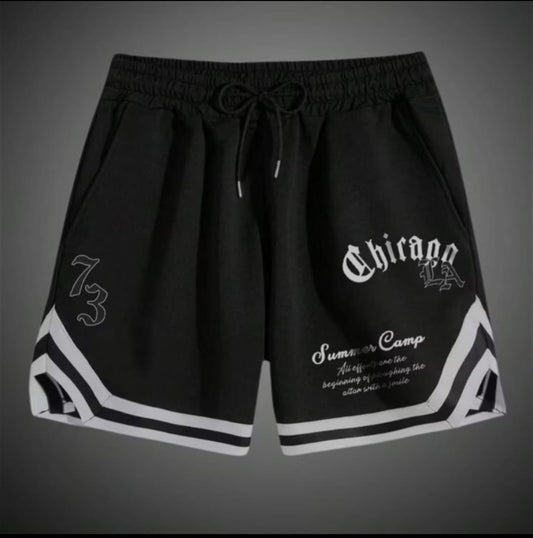 Basket Chicago 73